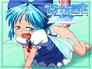 妖女大図鑑2 cover