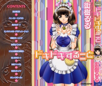 Dokidoki suru Koto cover