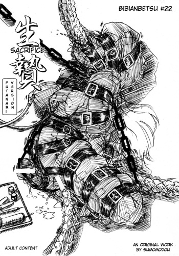 Bibi Anbetsu 22 cover