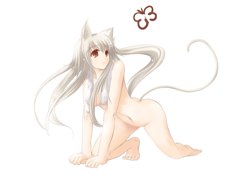 Lvhina's Albino Collection page 7 full