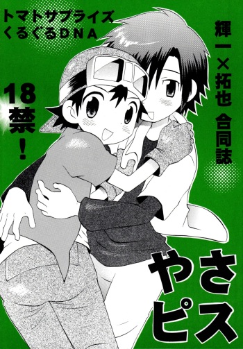 YasaPis cover