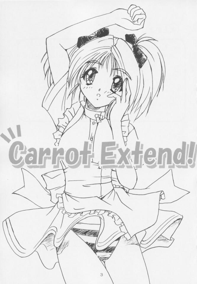 Carrot Extend! page 2 full