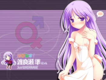Nisemusume cover