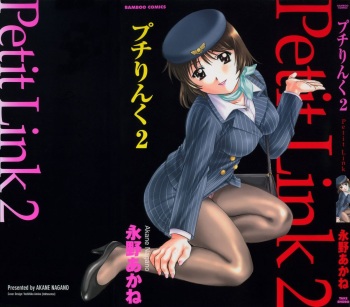 Petit Link 2 cover