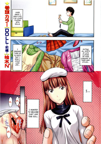 Doll cover