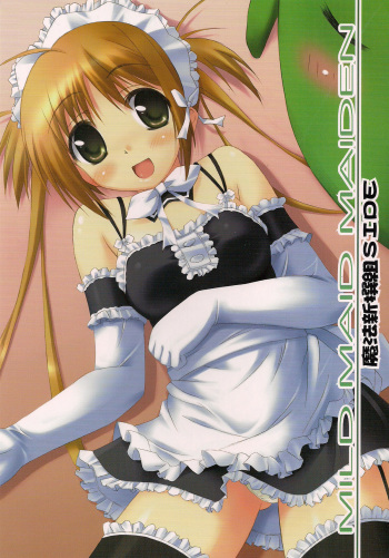 MILD MAID MAIDEN Maho Shinsengumi Side cover