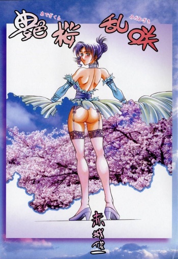 Stockings collection vol. 05 cover