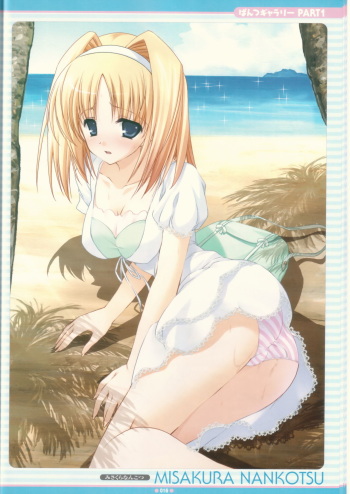 - Artist - Misakura Nankotsu cover