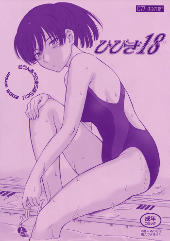 Hibiki 18 cover