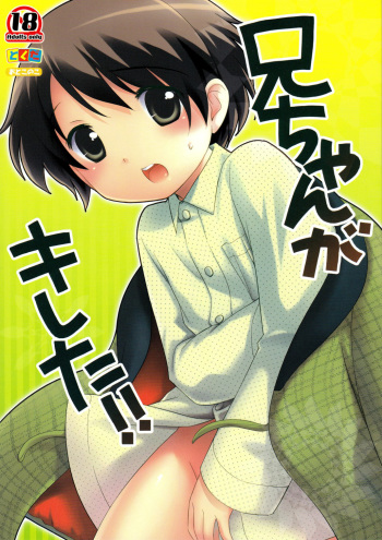 Nii-chan ga Kireta!! | Nii-chan Got Mad cover