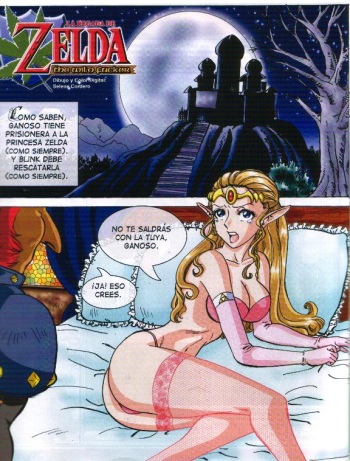 La regada de Zelda The Wild Fucker cover
