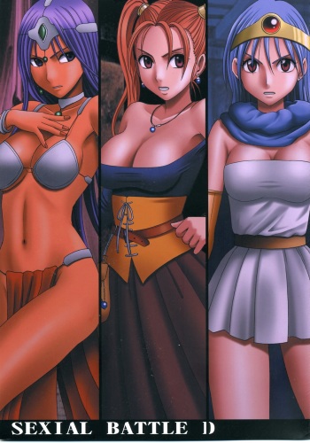 SEXIAL BATTLE D cover