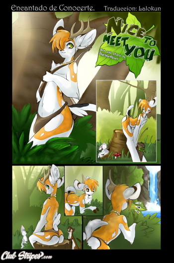 Nice to meet you cover