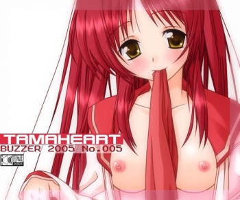 TAMA Heart cover