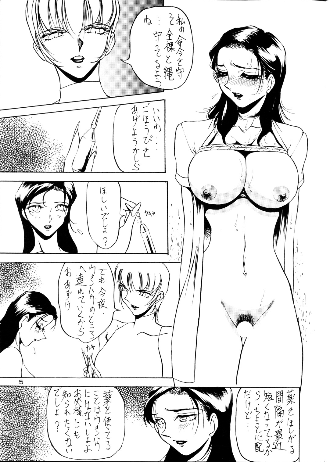 Misty Moon Metropolis Fanbook BREED Dorei Jokyouju Kousaka Shiori 2 page 5 full