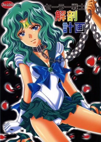 Sailor Senshi Kaibou Keikaku cover