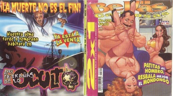 Bellas De Noche 329 cover
