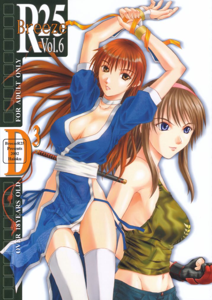 R25 Vol.6 D^3 page 1 full