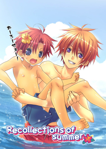 Recollections of summer cover