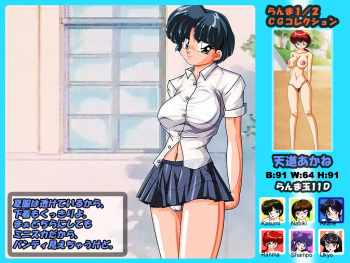 Ranma Girls Dama 7 cover