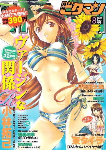Monthly Vitaman 2009-08 cover