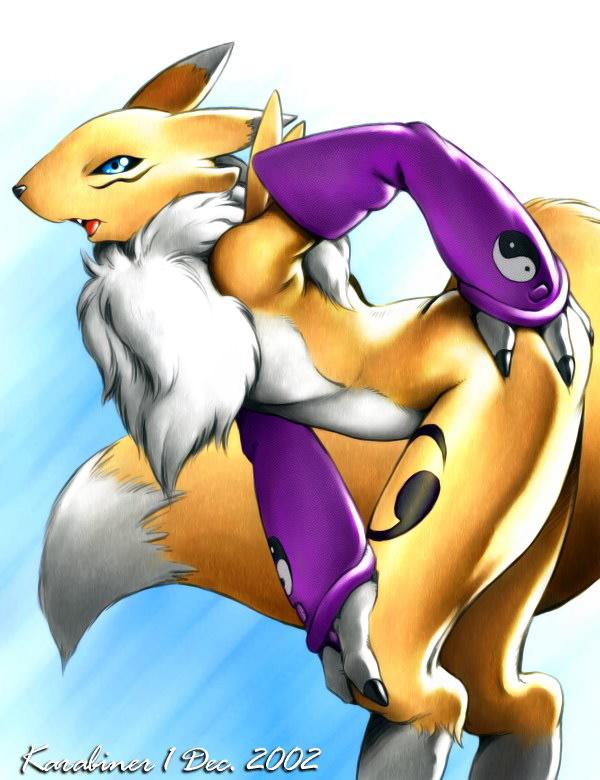 The best of Renamon page 6 full