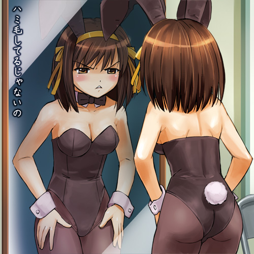 Bunny Girl Pictures page 6 full