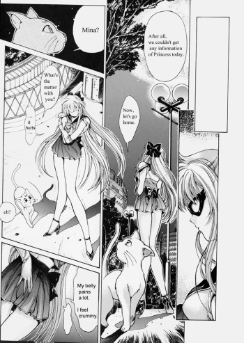 Sailor V cover