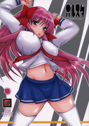 Holste version 1.0 cover