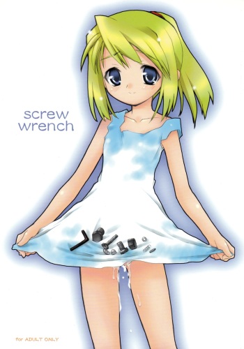 Screw Wrench cover