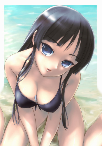 bikini girls hentai assorted pictures cover
