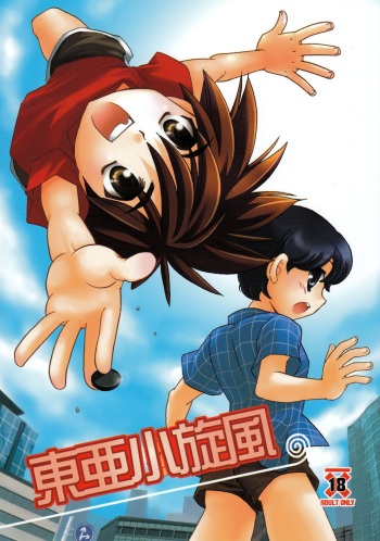 Toua Tsumujikaze cover