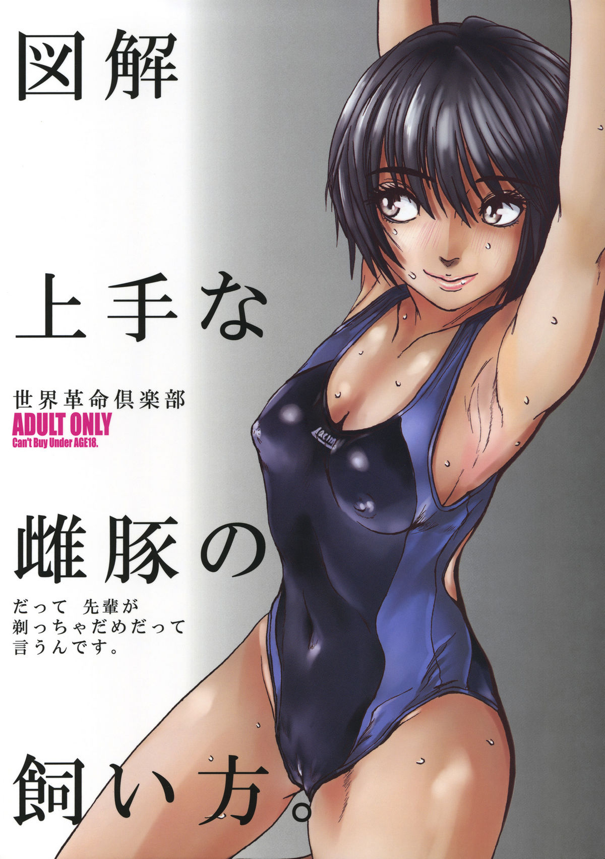 Zukai Jyouzuna Mesubuta no Kaikata page 1 full