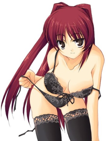 Assorted Ecchi Collection #015 cover