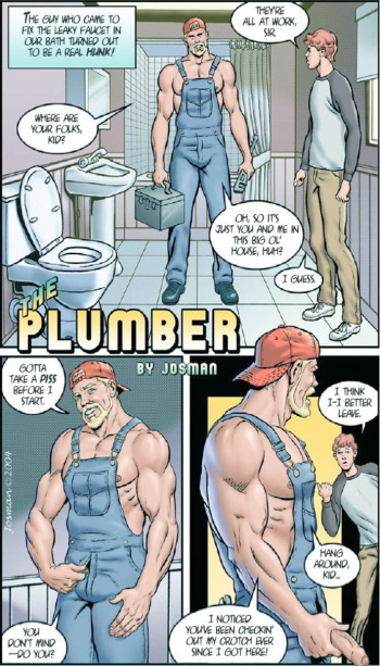 The Plumber cover