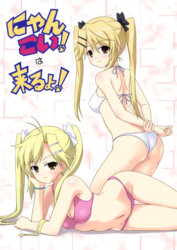 Nyan Koi! wa Kuruyo! cover