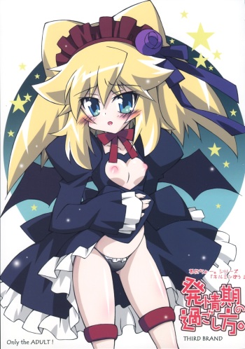 Hatsujouki no Sugoshikata. cover