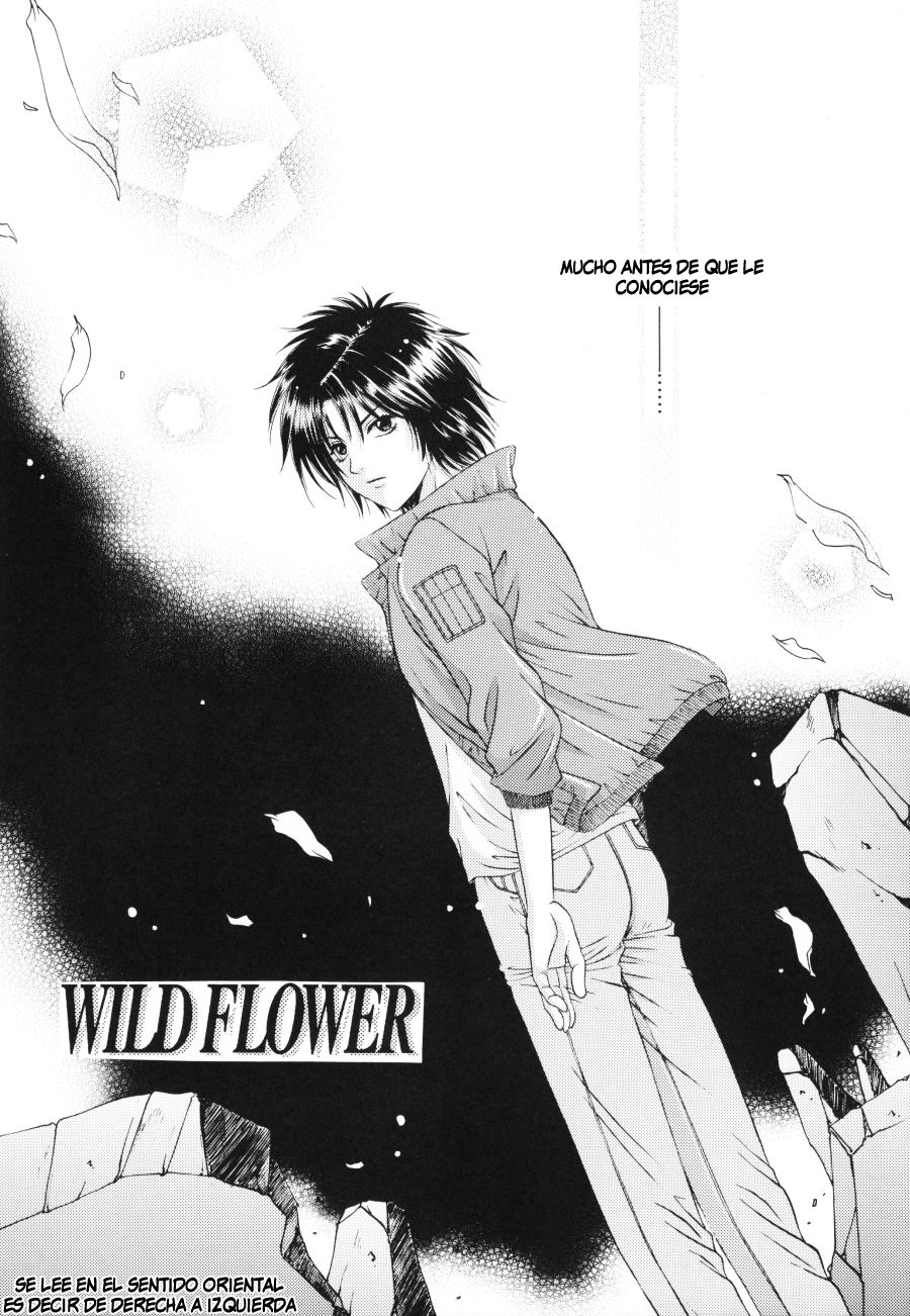 Wolf's rain - Wild Flower page 4 full