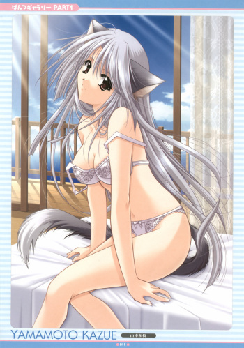 - Artist - Yamamoto Kazue cover