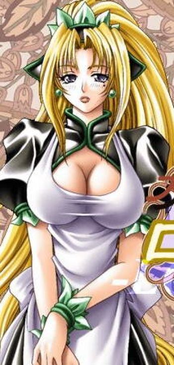 Magical Treasure: Kanojo wa Maid 2 ～ Fantasy Hen ～ cover