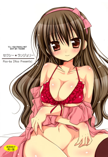 Sexy Lingerie cover