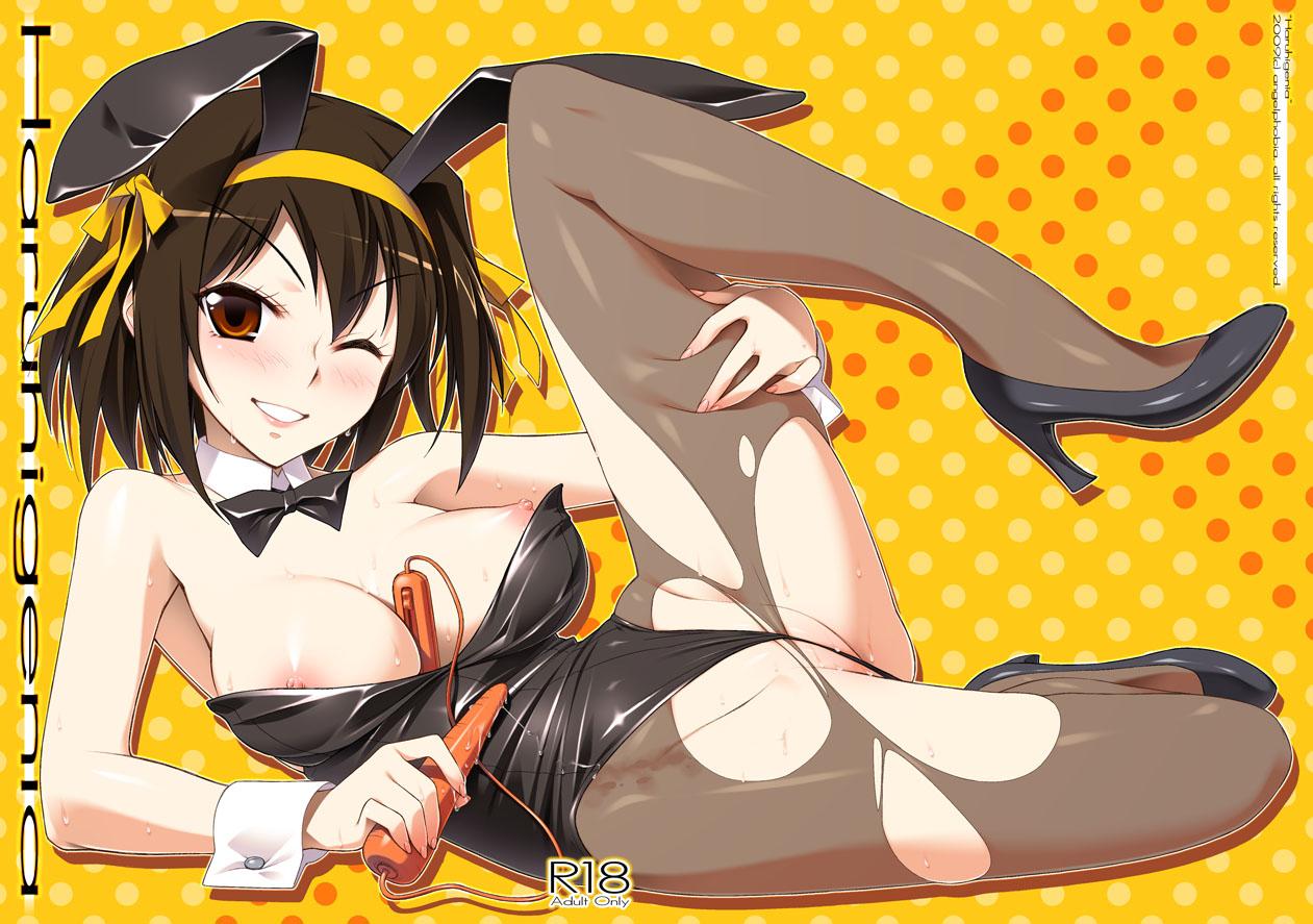 My Suzumiya Haruhi Hentai / Echii Collection page 6 full