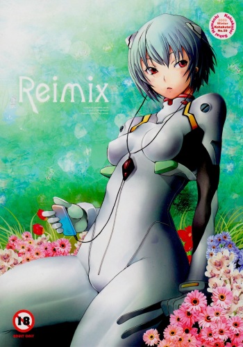 Reimix cover