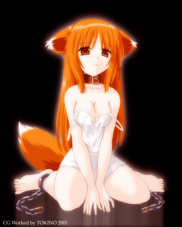furry collection - foxgirl collection page 5 full