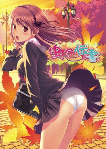 Nijiiro Densho cover