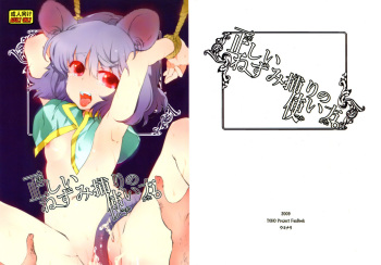 Tadashii Nezumitori no Tsukaikata. cover