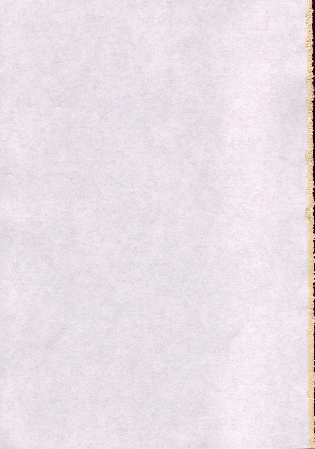 CAPTIVE 3+4 page 2 full
