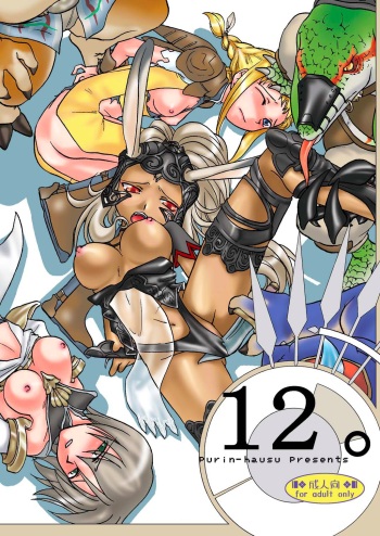 12。 cover