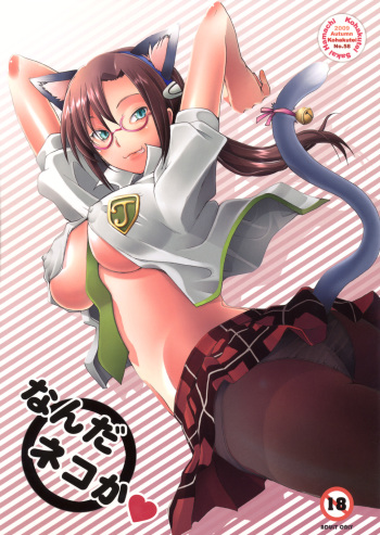 Nanda Neko ka cover