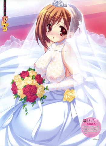 Wedding-dress collection cover